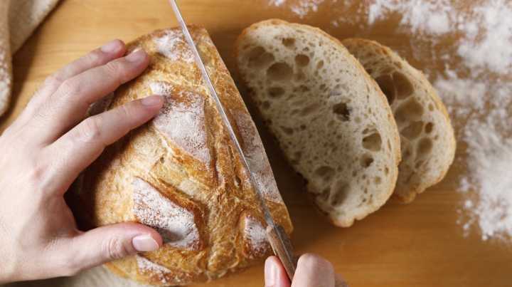 What To Do When Your Sourdough Starter Isn't Rising