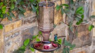 Feed Hummingbirds In Style With A Vintage Feeder From The Thrift Store