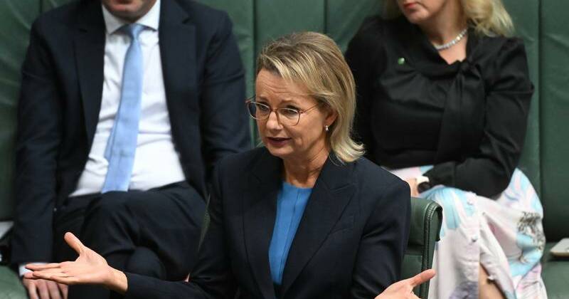 Give Ley clear air, former Nats leader tells colleagues