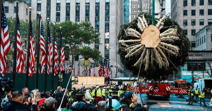 Rockefeller Center Christmas tree arrives in Manhattan, kicking off New York's holiday season
