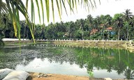Mangaluru: Four historic lakes set for major makeover under Amrut 2.0