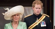 Harry's 'wicked stepmother' remark about Camilla 