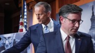 GOP leaders Mike Johnson, John Thune fall out of sync on Epstein, Arctic Frost