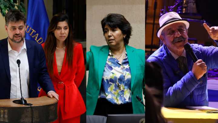 Pelea entre Manouchehri, Cicardini, Espinoza y Provoste sumó a Cicardini padre y la Fiscalía