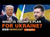 Does President Trump's plan bring Russia and Ukraine any closer to peace?