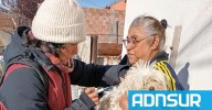 Alerta en Chubut: refuerzan la vacunación de las mascotas tras detectar murciélagos con rabia