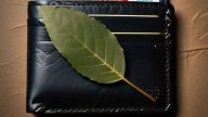 Para qué sirve poner una hoja de laurel en la billetera