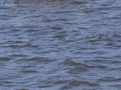 Central Arkansas Water approves $4.5M contract for new watershed management office at Lake Maumelle