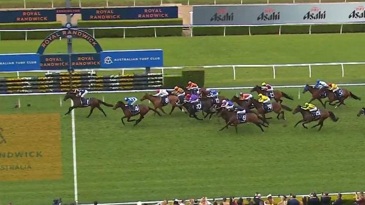 Favourite Gringotts wins Sydney’s Big Dance at Randwick Racecourse on Melbourne Cup day