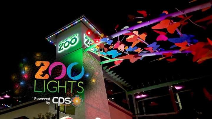 Zoo Lights returns to San Antonio Zoo with new attractions, festive holiday glow