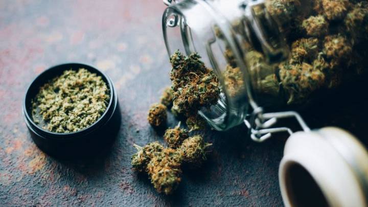 Así es cómo algunas familias incorporan la marihuana al Día de Acción de Gracias