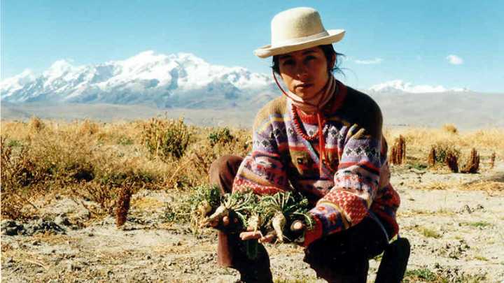 Hermana de Humala se une a Vizcarra para integrar lista al Senado por Perú Primero
