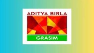 Grasim Q2: Profit up 12% YoY after Q1 loss, chemicals segment shines