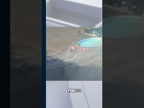 🌲El peligro de incendios forestales sigue siendo alto en Texas.🔥