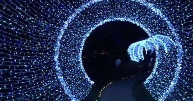 Glistening Grove, a new addition to Winter Wander