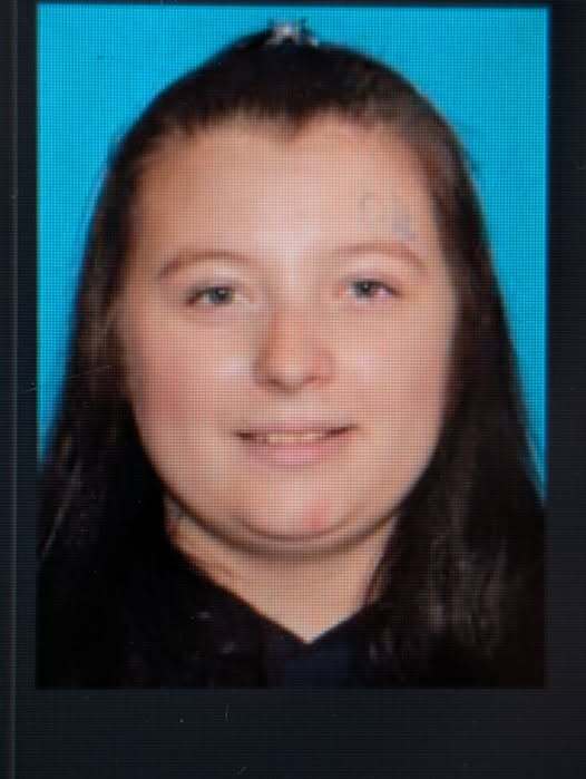 No new evidence in 22-year-old pregnant missing woman case in Wexford County