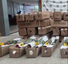 Incautan 130.000 dosis de cocaína ocultas en cargamento de flores enviado desde Bogotá
