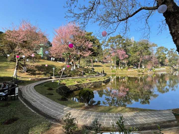 TYGA to headline Cherry Blossom Fest 2025