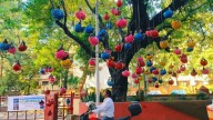 Thane’s Unique ‘Helmet Tree’ Outside Collector’s Office Promotes Road Safety For Children