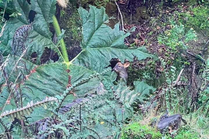 Adventure, reimagined: How customized immersion is shaping the future of travel