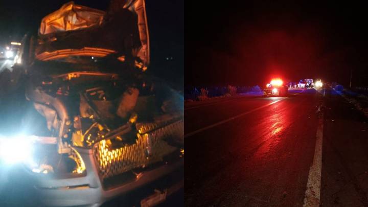 Camioneta Choca Contra Caballo que Cruzaba la Carretera Transpeninsular en BC; el Animal Murió