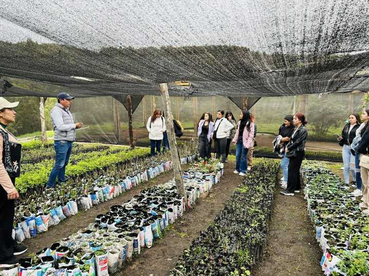 Vivero ‘Montaña Viva’ recibirá certificación del ICA como productor de material vegetal en Boyacá