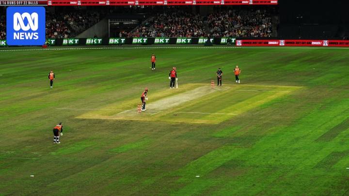 Docklands to be ready for BBL cricket as Melbourne Renegades consider move