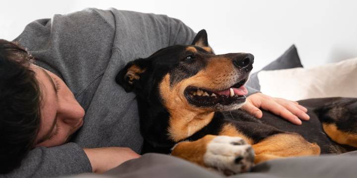 Bianca, veterinaria: “Estos hábitos que haces sin querer empeoran la ansiedad de tu perro”