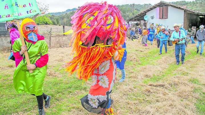 Zacacuautla: Mujeres expulsaron de su bosque a los talamontes