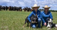Young Aussie girl's farm dream comes true with Me and Moo
