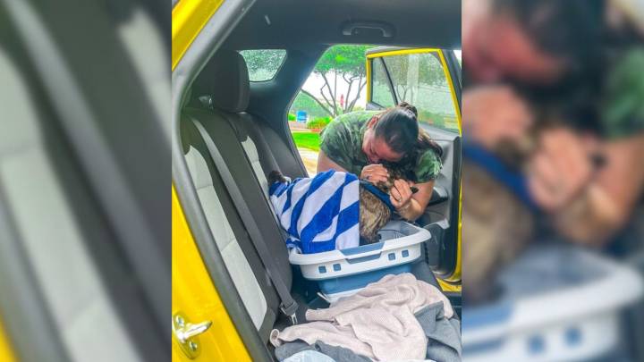 Texas Dog Vanishes During Hurricane And Resurfaces 8 Years Later Bringing Tears Of Joy