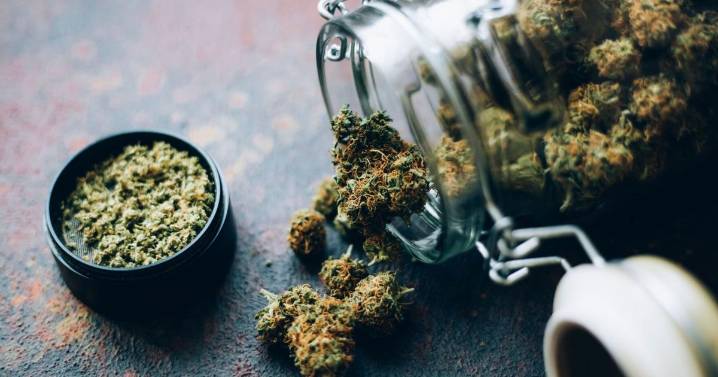 This Thanksgiving, weed smokers are grateful for ‘Green Wednesday’