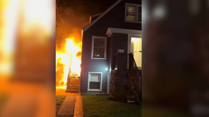 This New York Dog's Heroic Actions Saved His Family From A Life