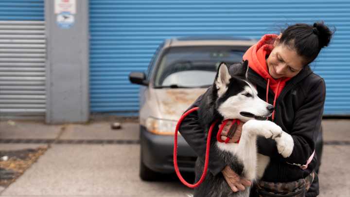 See photos of Newark animal shelter filled to capacity