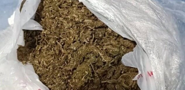 Justo Daract: secuestran marihuana valuada en más de 7 millones de pesos hallada en una vivienda