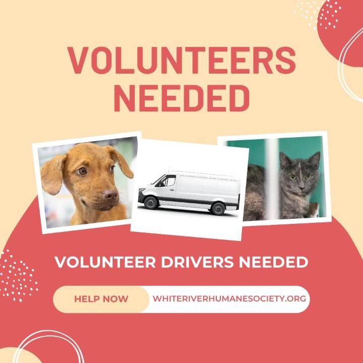 White River Humane Society seeks volunteer drivers to help animals reach care