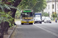 Aumentaron casi 10% los colectivos del AMBA