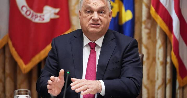 Hungary to mount court challenge to EU's planned phase-out of Russian energy, Orbán says