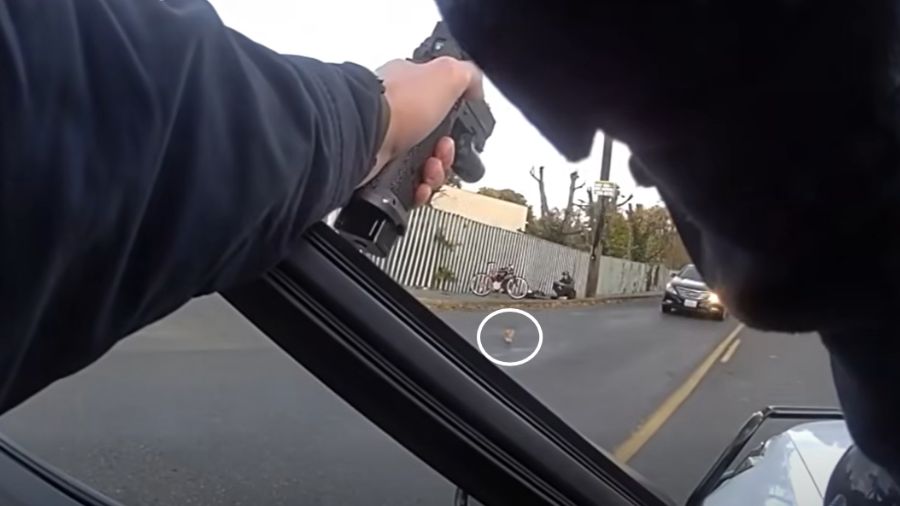 Deputies rescue kitten in Pierce County after confronting hatchet