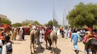 Chad criticized for failure to address herder-farmer clashes amid climate crisis