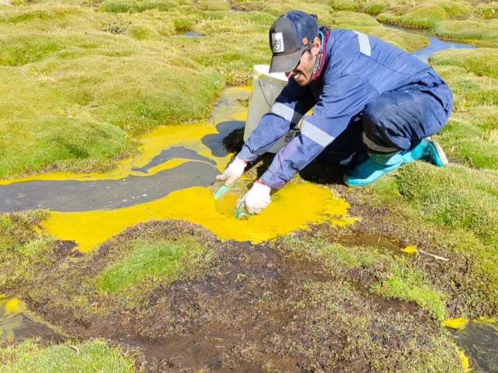 Arica: Una batalla tras otra... ahora por un nuevo pacto Chile