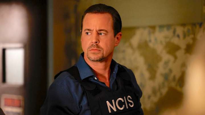 NCIS Star Sean Murray Addresses Rumors He's Leaving The Show: 'Things Can Take Big, Unexpected Turns'