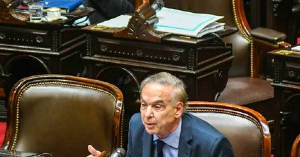 Pichetto impulsa un arancel del 30% para plataformas como Shein y Temu