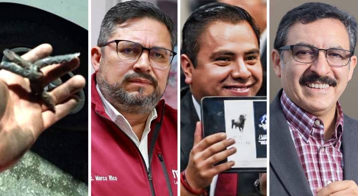 YO COMO QUE OÍ… que Arco Norte, Rico, Mayorga y Gómez