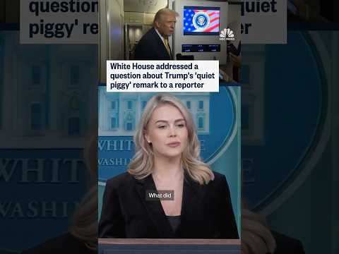 White House addressed a question about Trump's 'quiet piggy' remark to a reporter