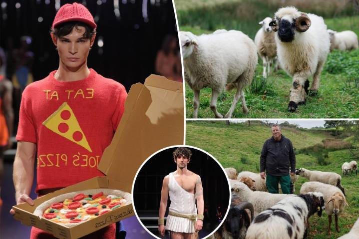 Wool from 'gay' sheep used to create couture fashion