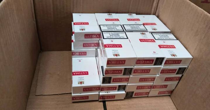 Freno al contrabando en el Quindío: Más de 70.000 cigarrillos ilegales no serán comercializados