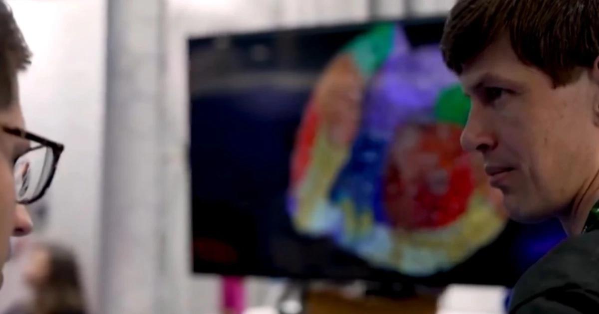 Científicos construyen un ‘cerebro de ratón’ digital para estudiar Alzheimer y epilepsia