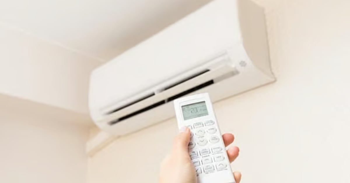 Blue Star Shares Fall After Full-Year Guidance Cut Despite Q2 Profit Rise