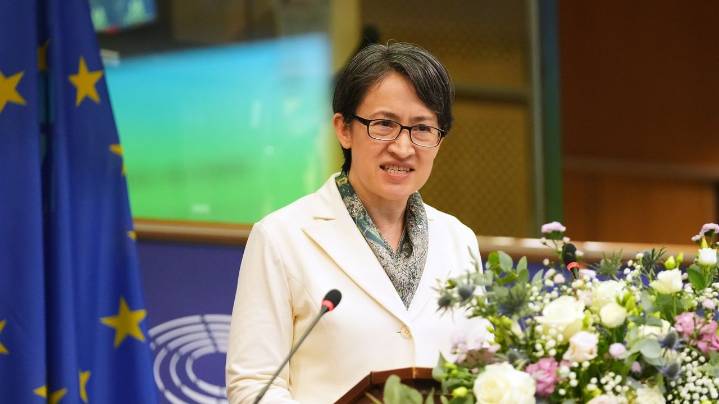 Taiwan's vice president calls for closer EU ties in rare address to international lawmakers